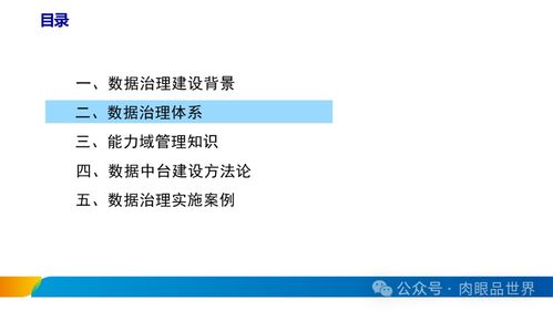 xx集团数据治理体系建设方案 